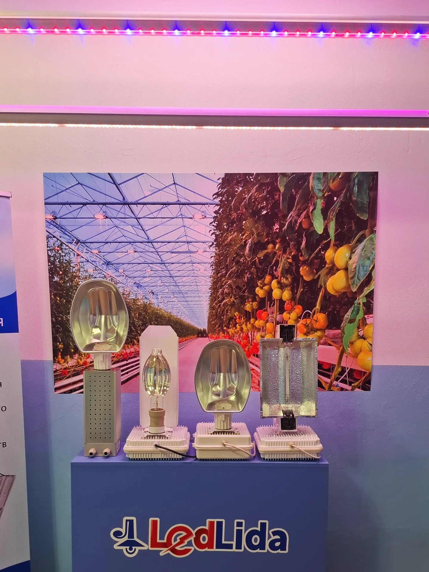 Возложение цветов к Вечному огню