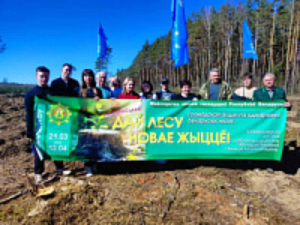 Республиканская акция «Дай лесу новае жыццё!»
