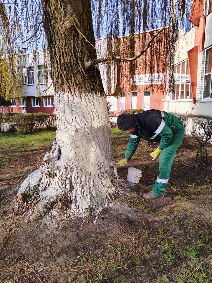 Изображение 9