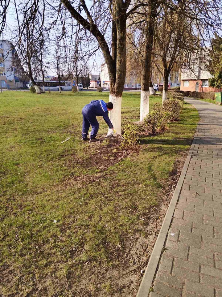 Изображение 11