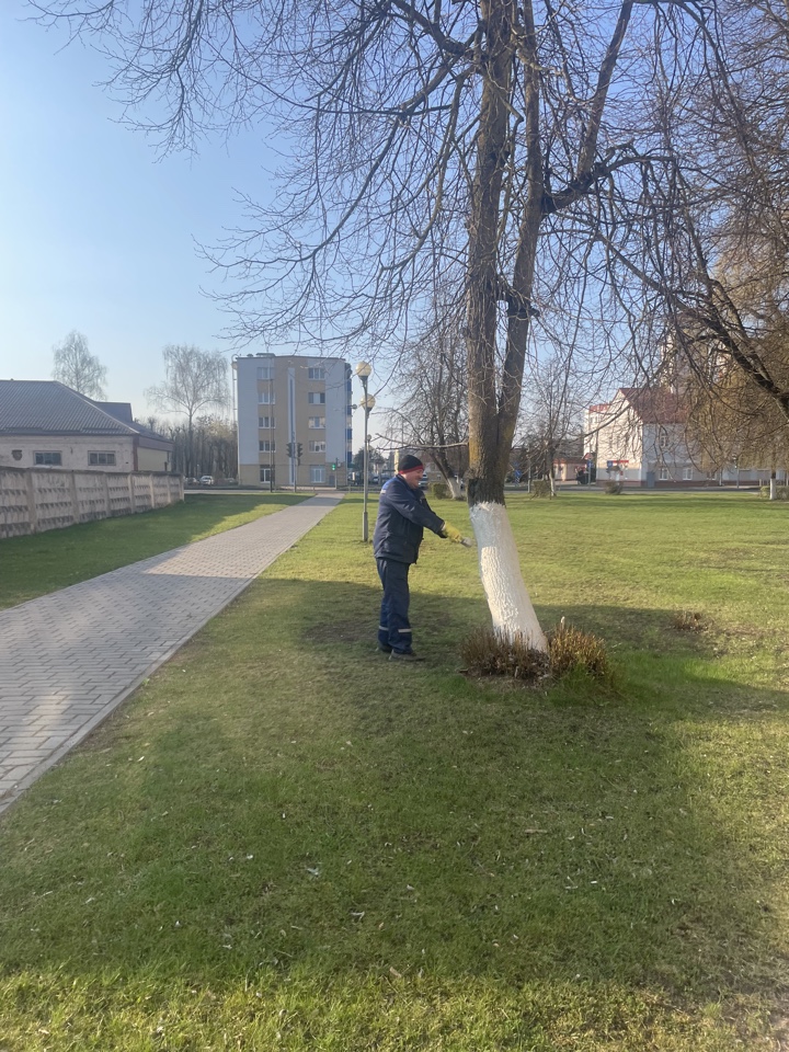 Изображение 13