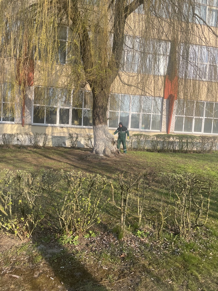 Изображение 12